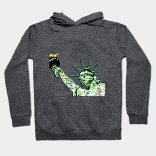 Statue of Liberty created with beautiful flowers mosaic style Hoodie